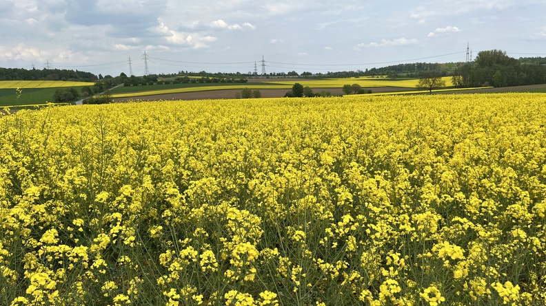 22-05-02 16-09-35 0740.jpg